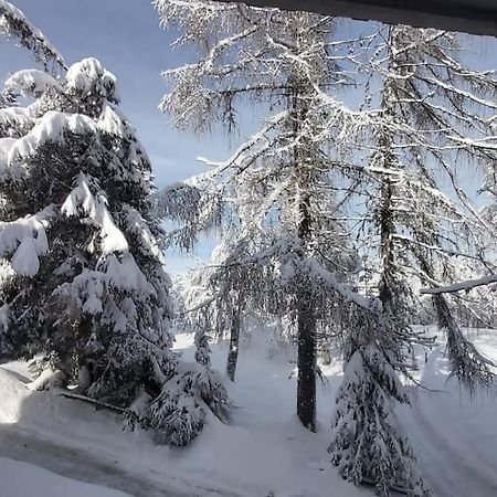 Trento, Monte Bondone, Casa Tipica Di Montagna Lejlighed Norge Eksteriør billede