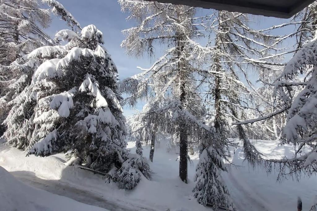 Trento, Monte Bondone, Casa Tipica Di Montagna Lejlighed Norge Eksteriør billede
