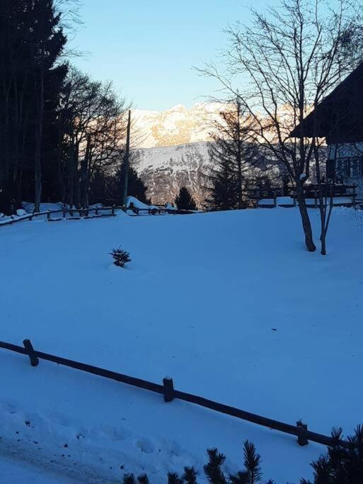 Trento, Monte Bondone, Casa Tipica Di Montagna Lejlighed Norge Eksteriør billede